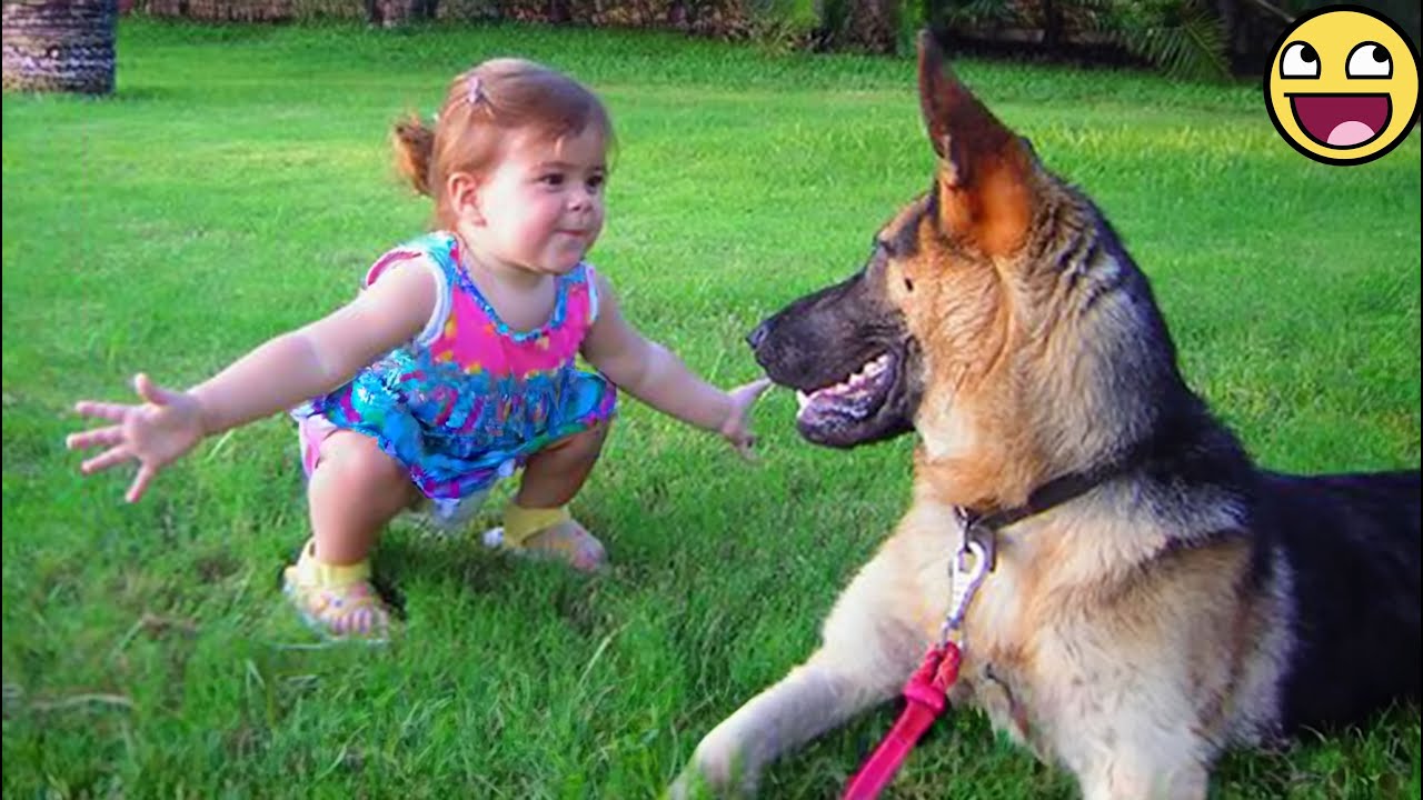 1 Hour of Babies & Dogs Creating the Cutest Outdoor Chaos 😂🐶