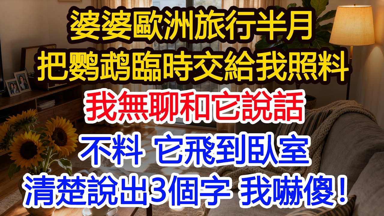 婆婆歐洲旅行半月把鹦鹉臨時交給我照料我無聊和它說話不料 它飛到臥室清楚說出3個字 我嚇傻！#為人處世 #正能量 #故事分享 #生活經驗 #情感#故事頻道