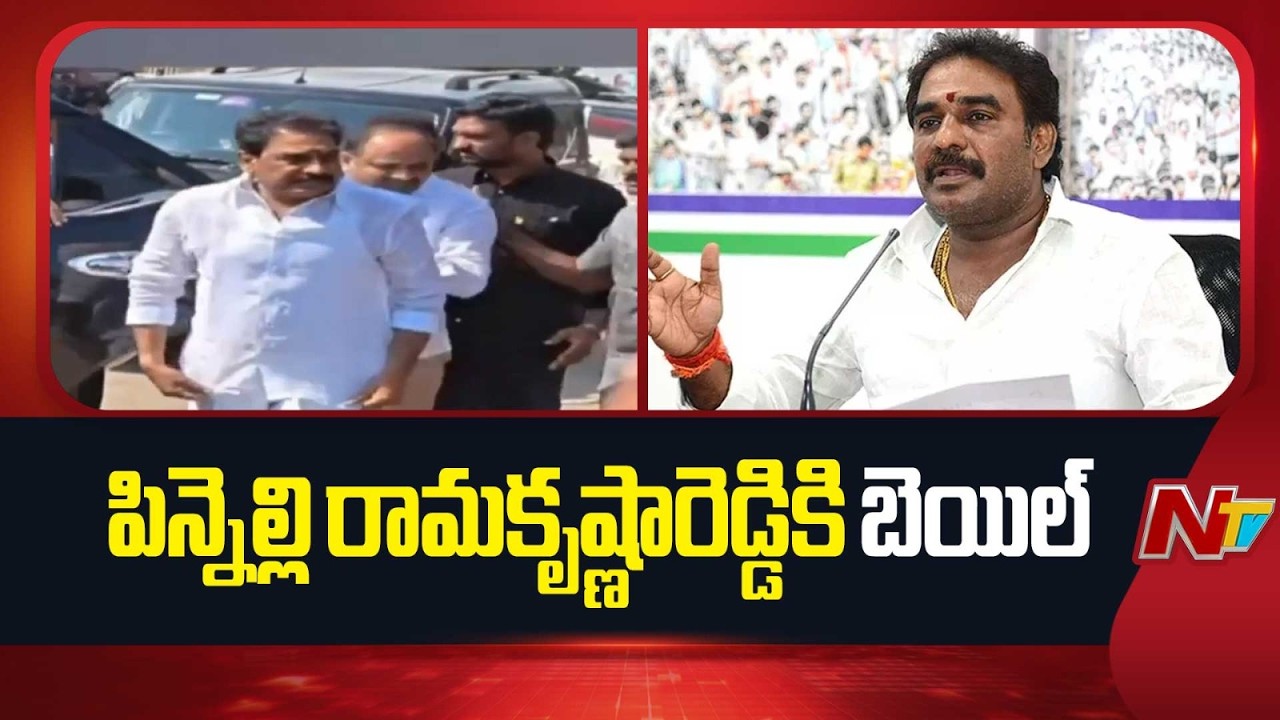మాజీ ఎమ్మెల్యే పిన్నెల్లికి బెయిల్‌ మంజూరు | Pinnelli Ramakrishna Reddy | NTV Telugu