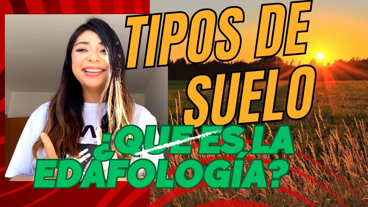Tipos de suelo/ Edafolog&iacute;a.🍂 #geografia