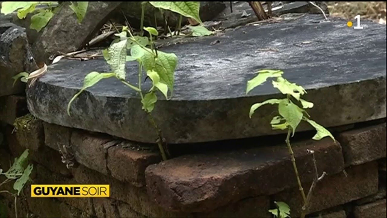 Hommage au cimetière des esclaves au lieu dit : habitation Risque Tout à Montsinéry- Tonnégrande.