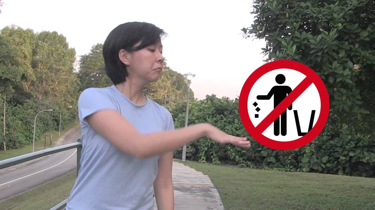 Singapore & Camp Rules (International Sign)