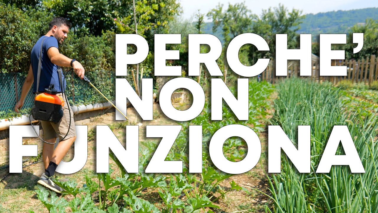 Come NON USARE la ZEOLITE