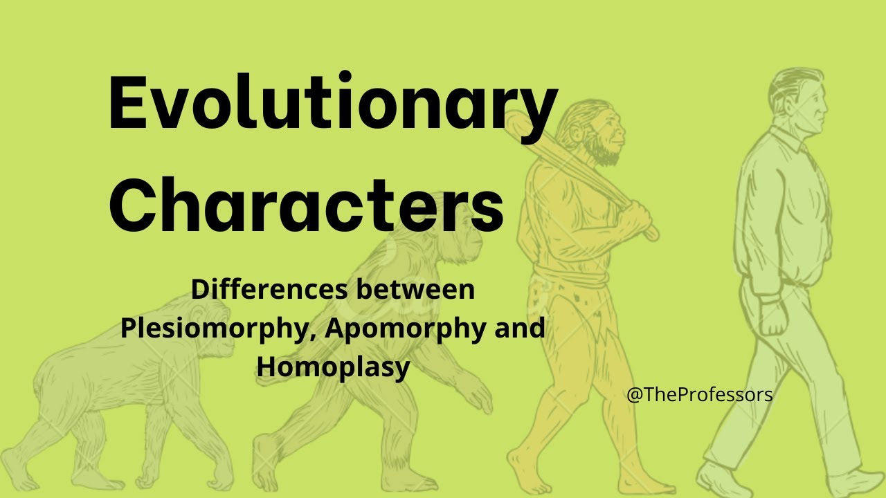 Symplesiomorphy, Synapomorphy, Autapomorphy and Homoplasy. Evolutionary Characters.