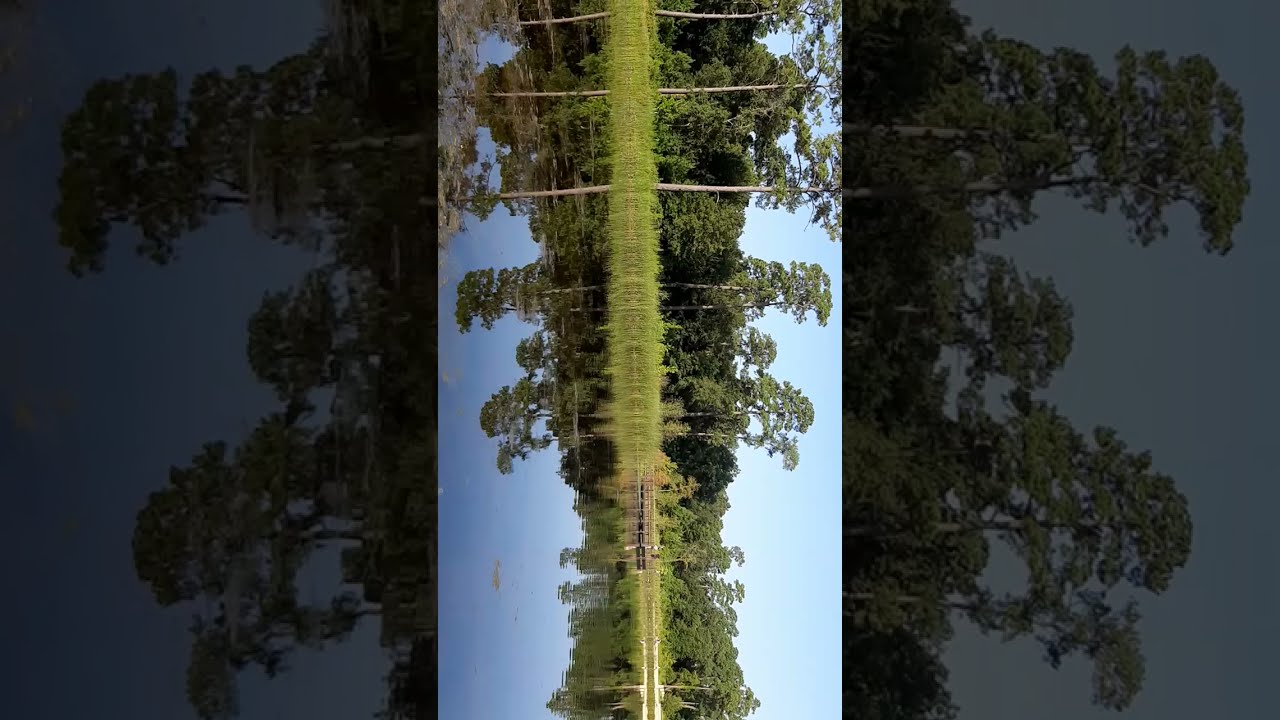 Hines Lake