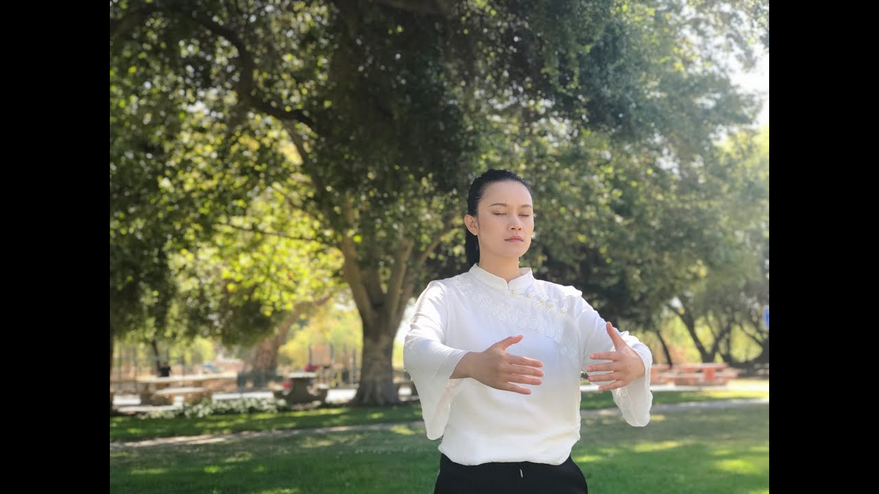 Yang Style 40 Form TaiChi Quan