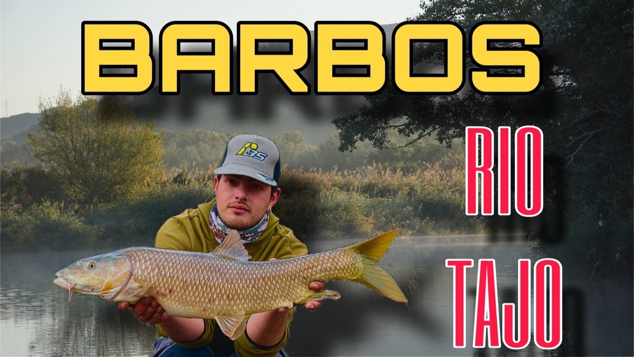 BARBOS EN EL RIO TAJO | CARPFISHING | 2026