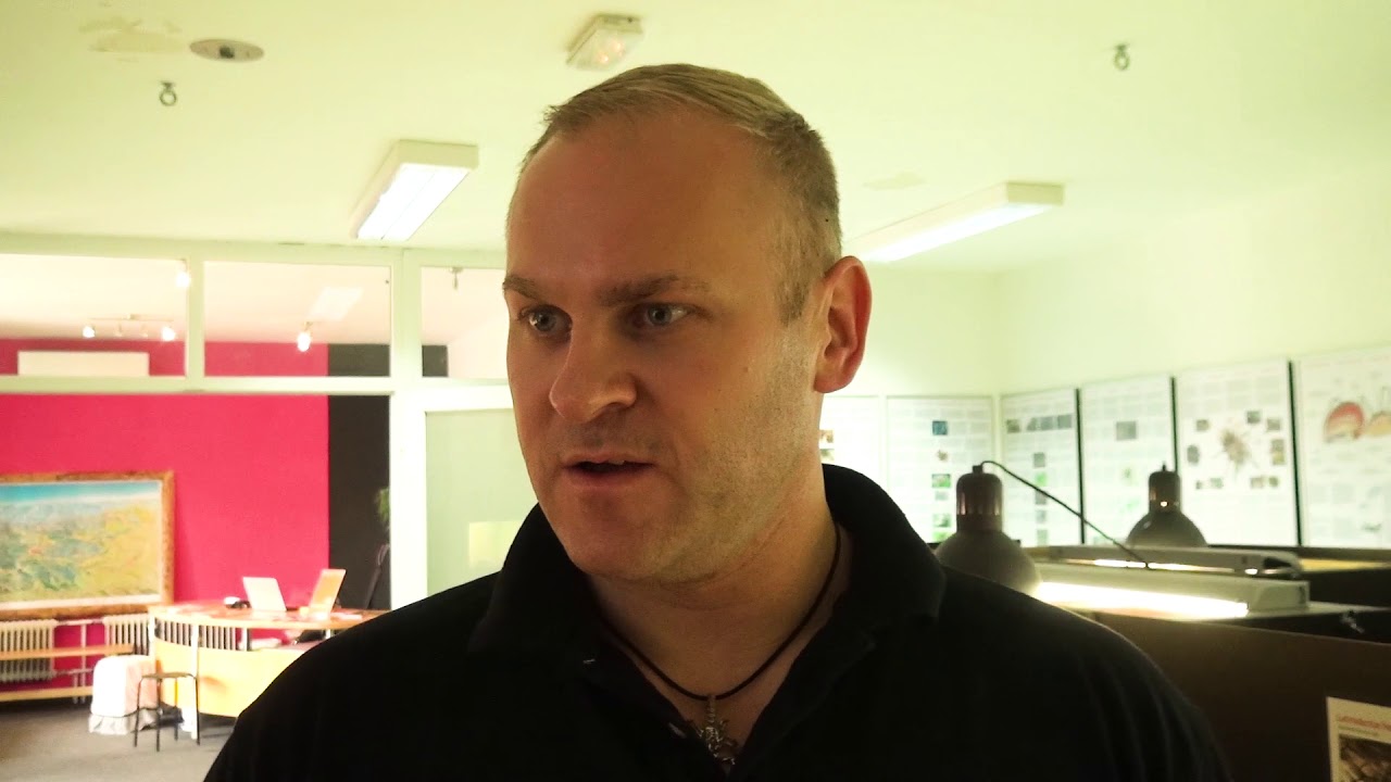 Razstava ptičjih pajkov