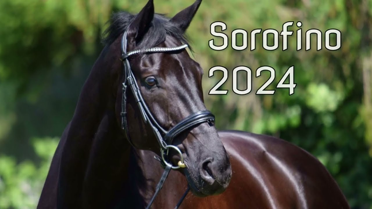 Sorofino 2024