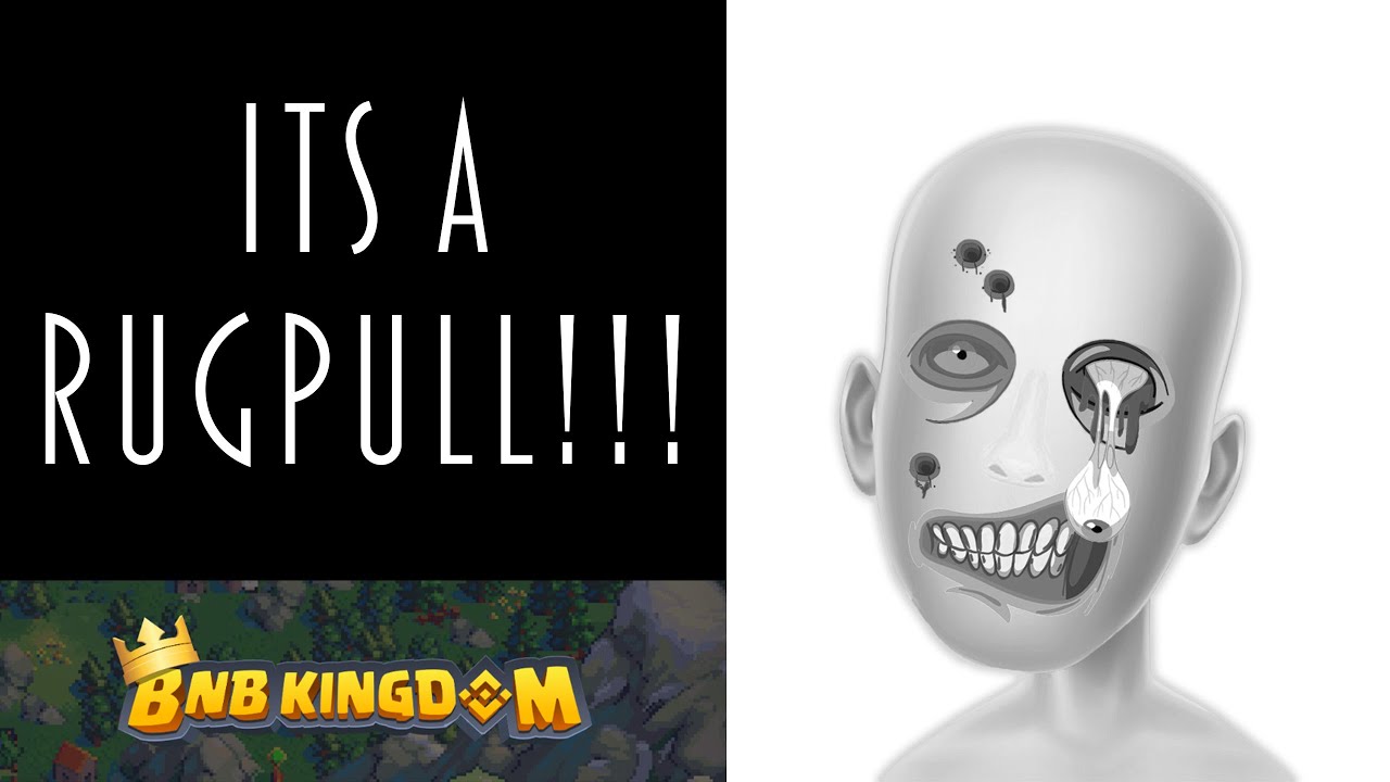 BNB & BUSD KINGDOM RUGPULLED!