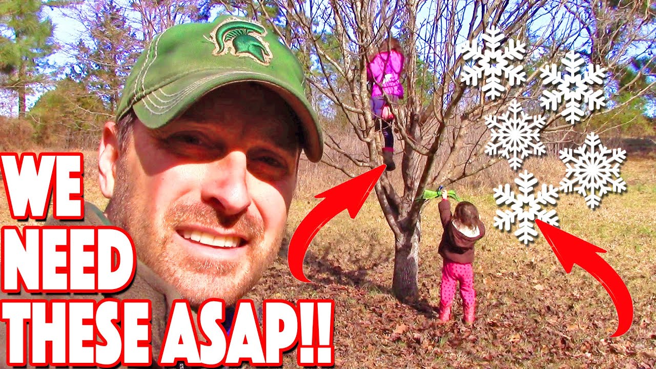 What Are CHILL Hours For Fruit Trees? And Why You NEED Them!