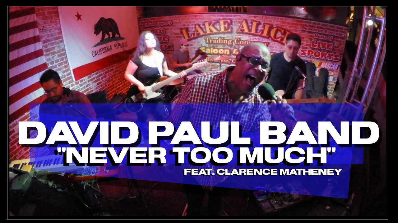 David Paul Band - Never Too Much