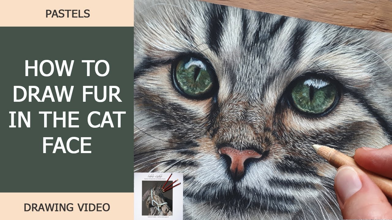 How to draw fur of a cat face / Sabine Lackner Fine Art
