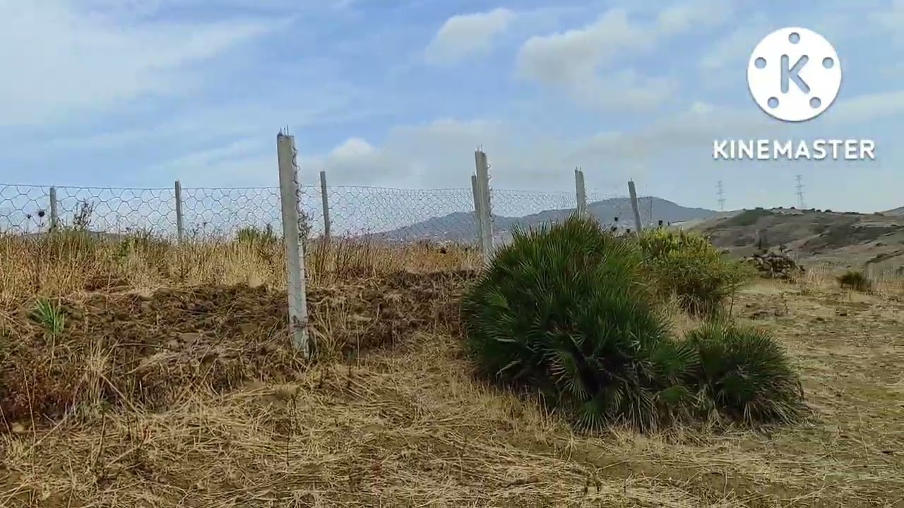 همزة غير ب 25 مليون ارض عدلية للبيع فواداليان مساحتها 900 متر موقع ممتاز ممكن التحفيظ 0634148738