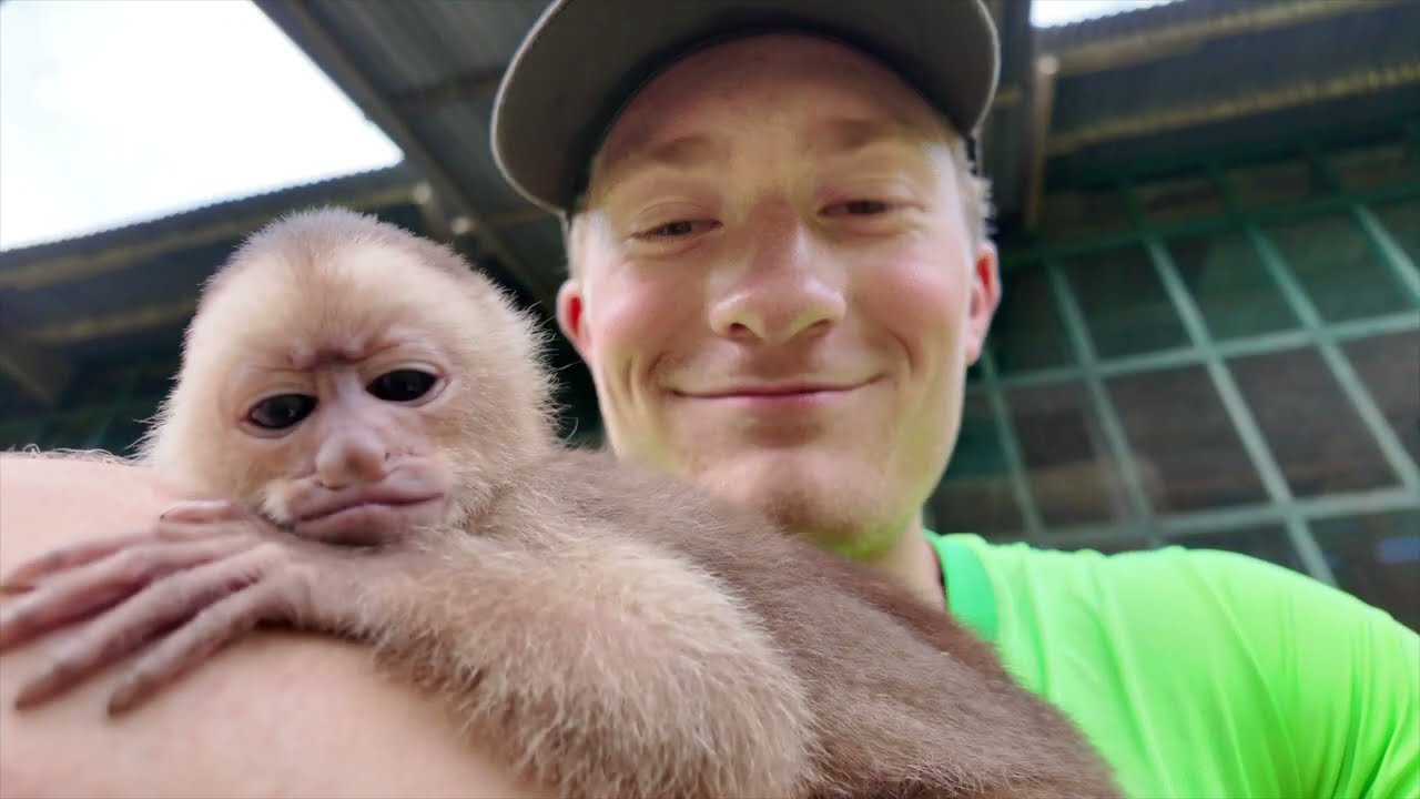 How This Sanctuary Is Saving Monkeys From Illegal Trafficking
