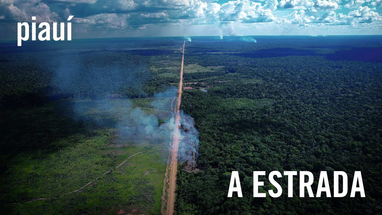 BR 319: o que fazer com a rodovia que conecta Manaus a Porto Velho