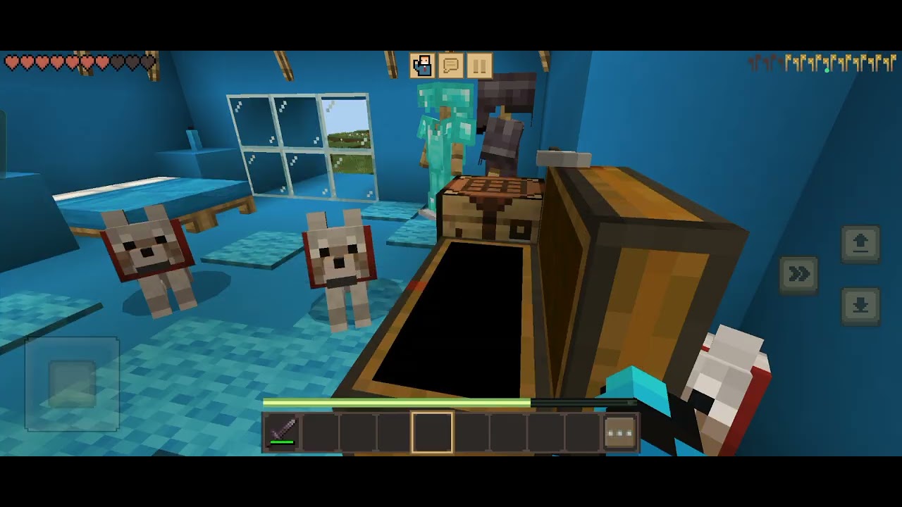 Pokazujem kako izgleda naš server u Minecraftu!!!!!!