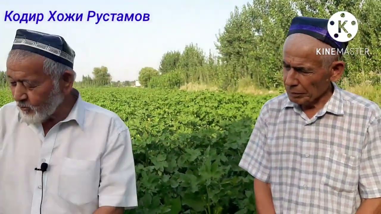 Гозани чеканка килиш.