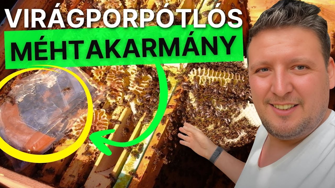 Fehérjés lepények szerepe méhanyanevelő és rajszaporításra beállított méhészetben