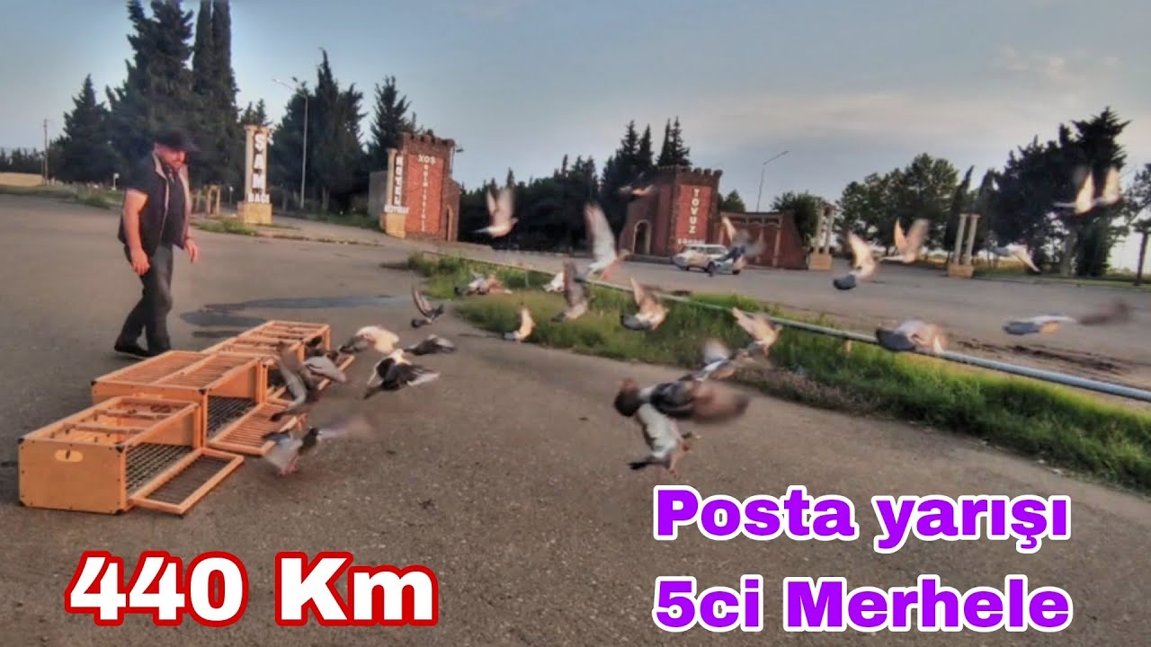 Posta Yarışı 5ci Merhele 440 Km
