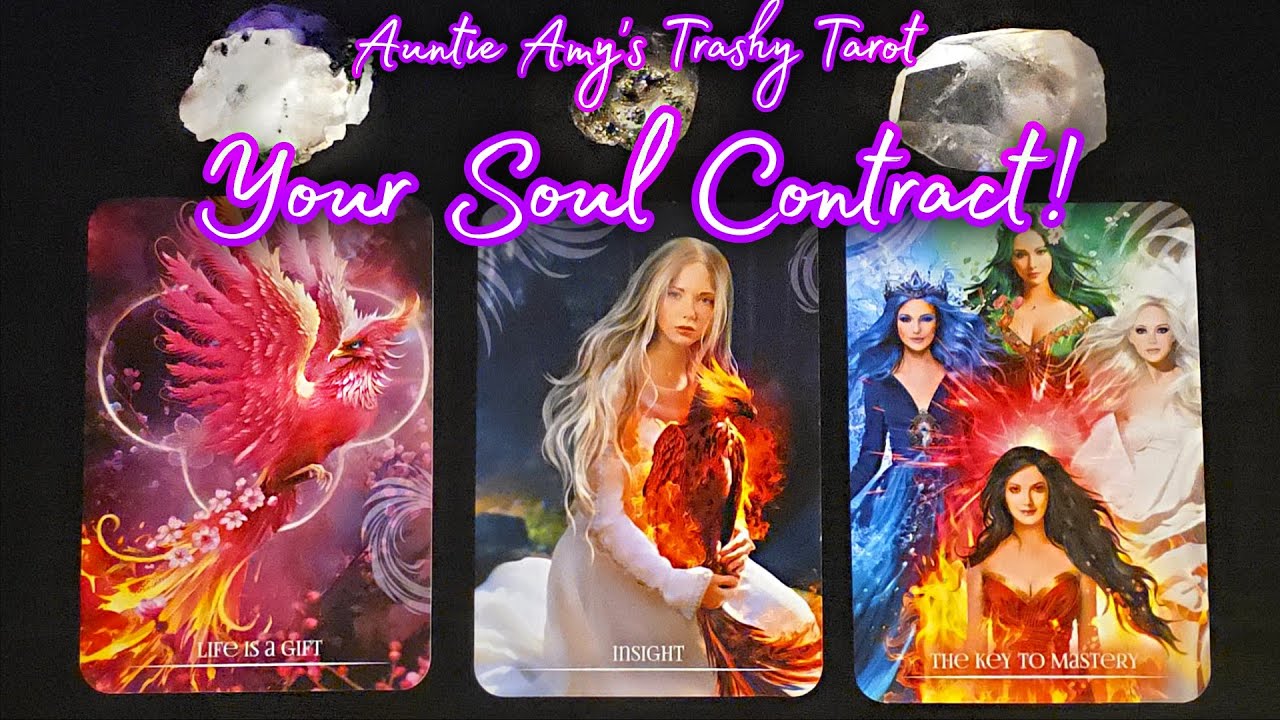 Your Soul Contract!🌞|Pick-A-Card Reading|🎯Auntie Amy's Trashy Tarot