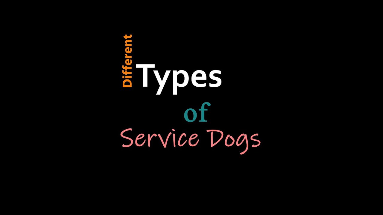 Different Types of Service Dogs