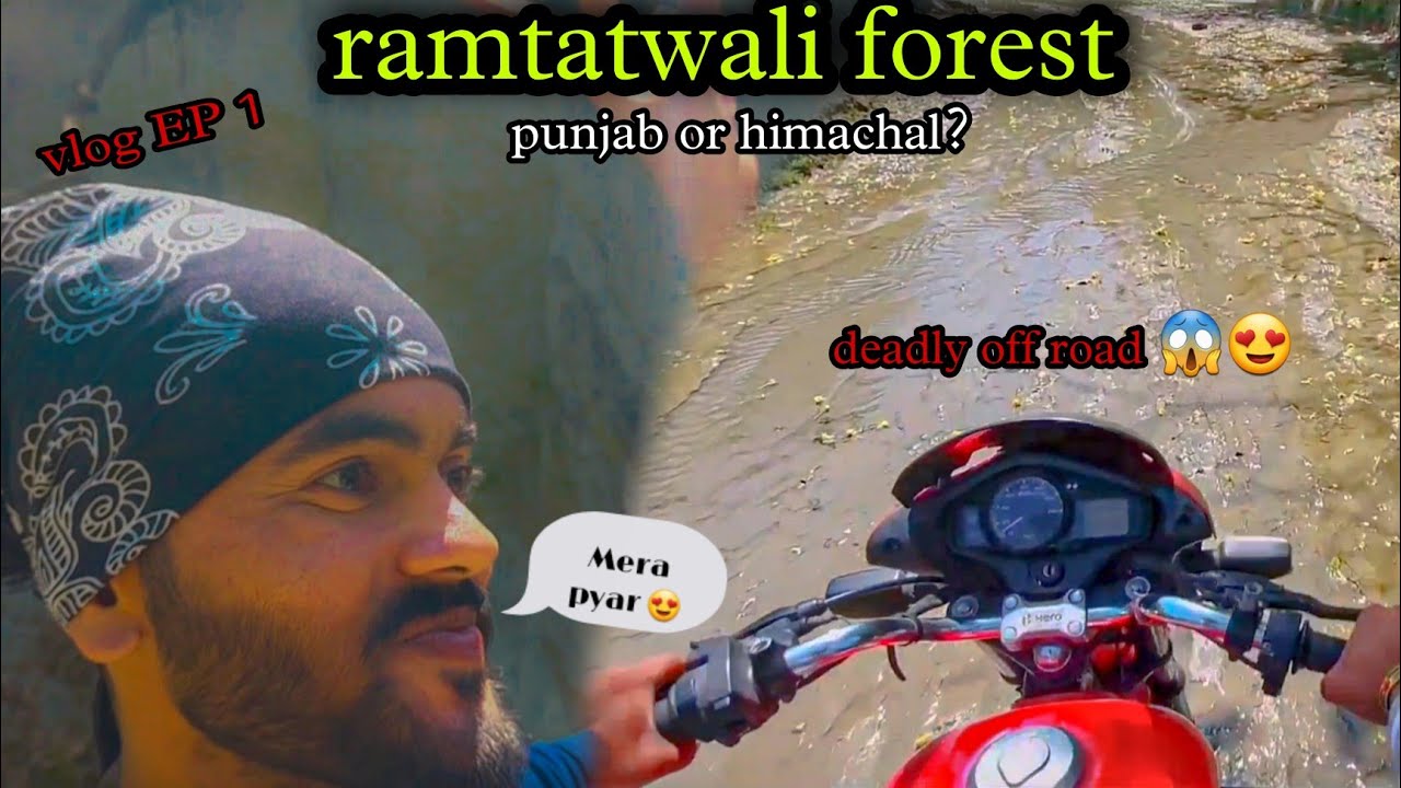 I love this place 😍😍❤️ || RAMTATWALI forest || hoshirpur jungle || dholwaha dam 😍 || deadly off road