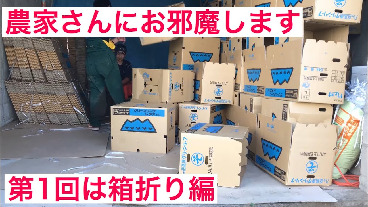 外仕事編1箱折り。