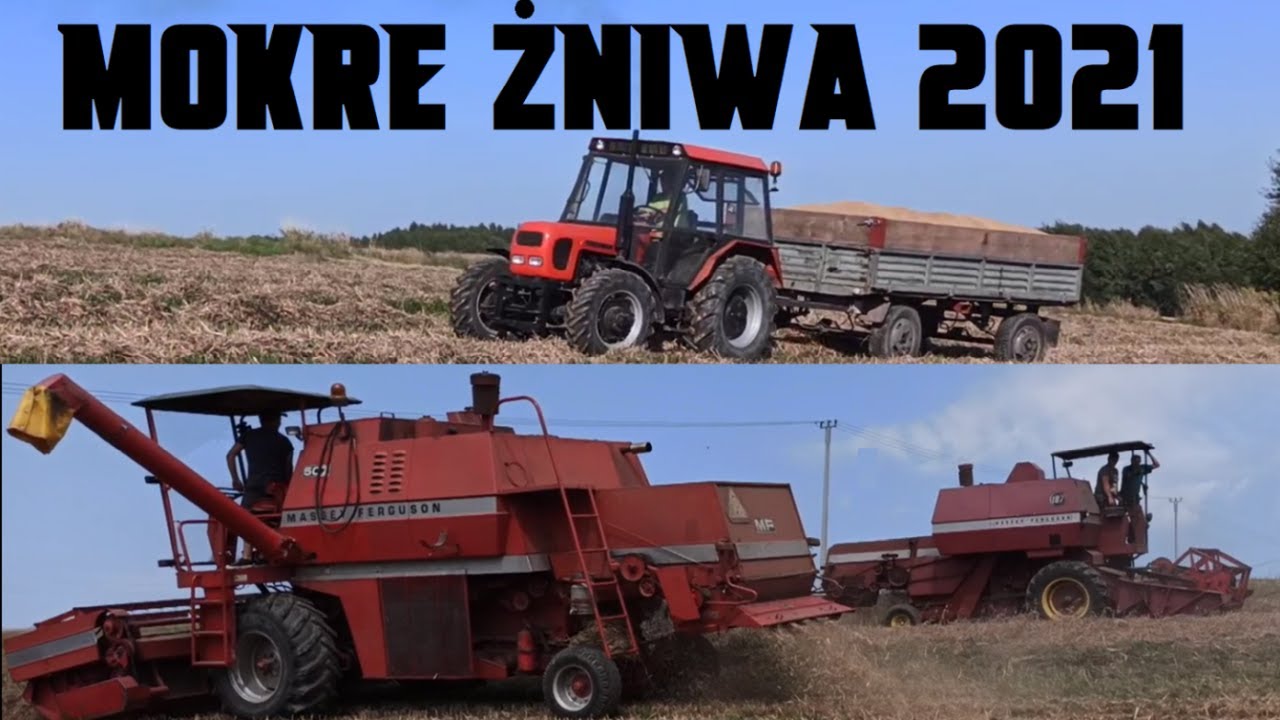 ☆ Żniwa 2021 we WRZEŚNIU na Podkarpaciu ☆ Gr Kowalczyk 🌾