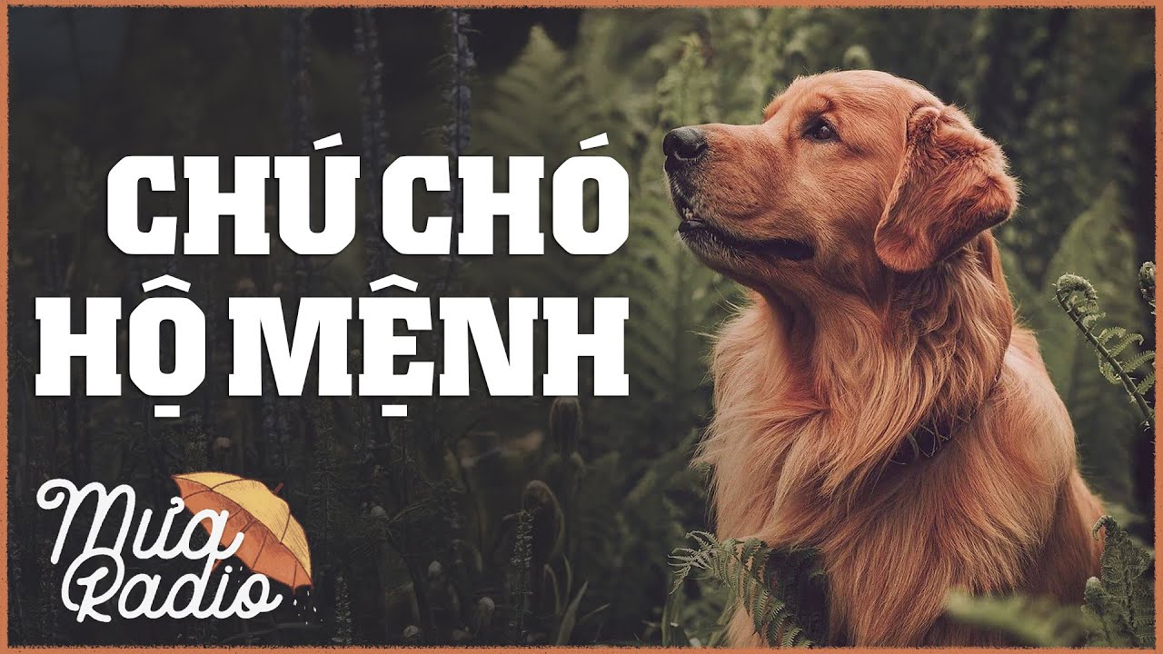 Chú Chó Hộ Mệnh - Hase Seishu - Văn Học Nước Ngoài - Mưa Radio