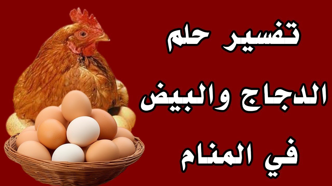تفسير حلم الدجاج والبيض في المنام