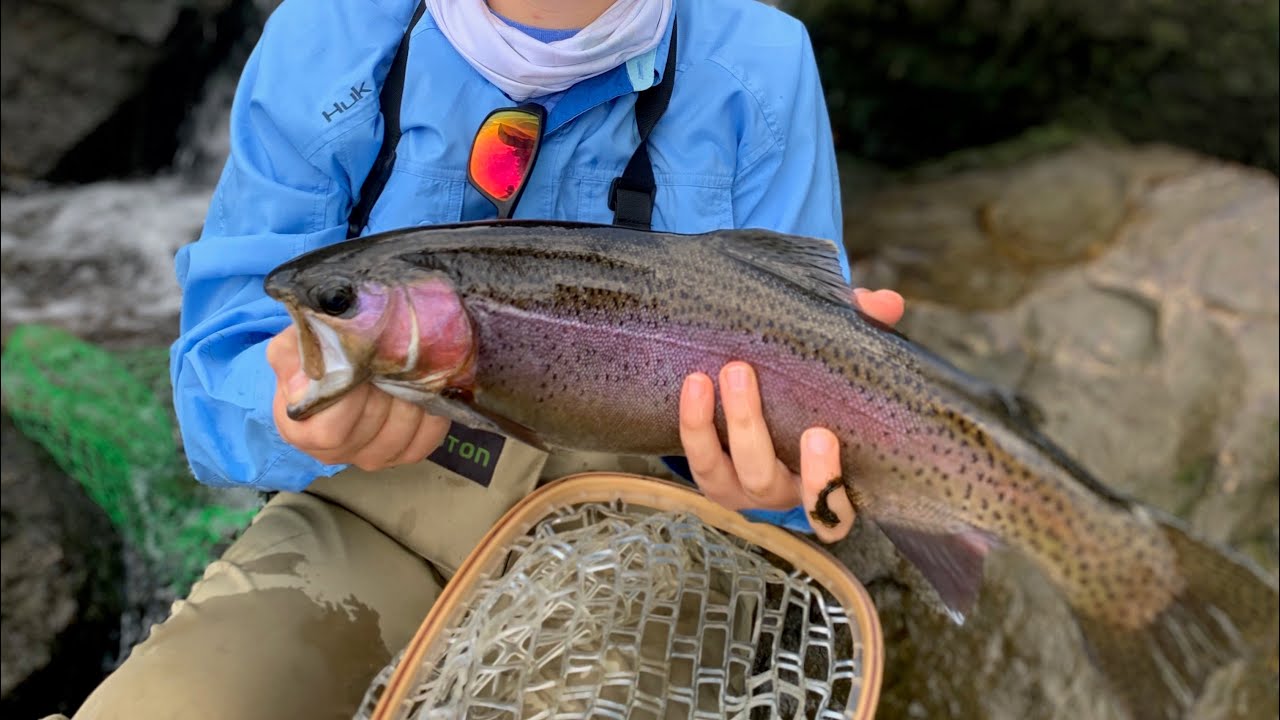 Fly Fishing Lake Taneycomo For Large Summer Trout
