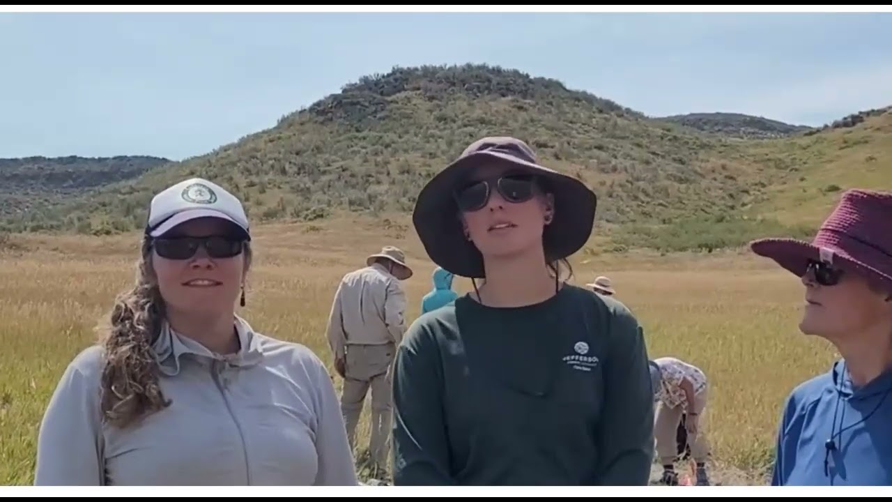Colorado Native Plant Society Intern Recruitment Video