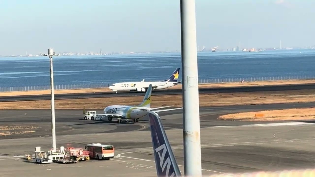 羽田空港T2散歩【スカイマーク】B737着陸2026.2.1#airplane #b737 #haneda 