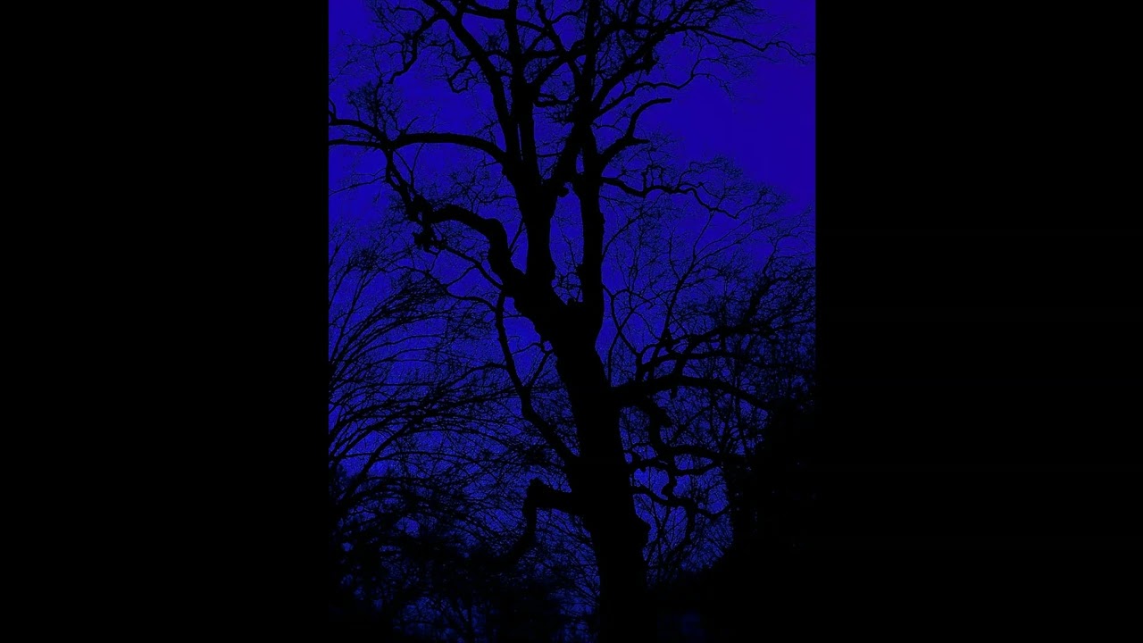 Free Sad Type Beat - "Midnight Blue"