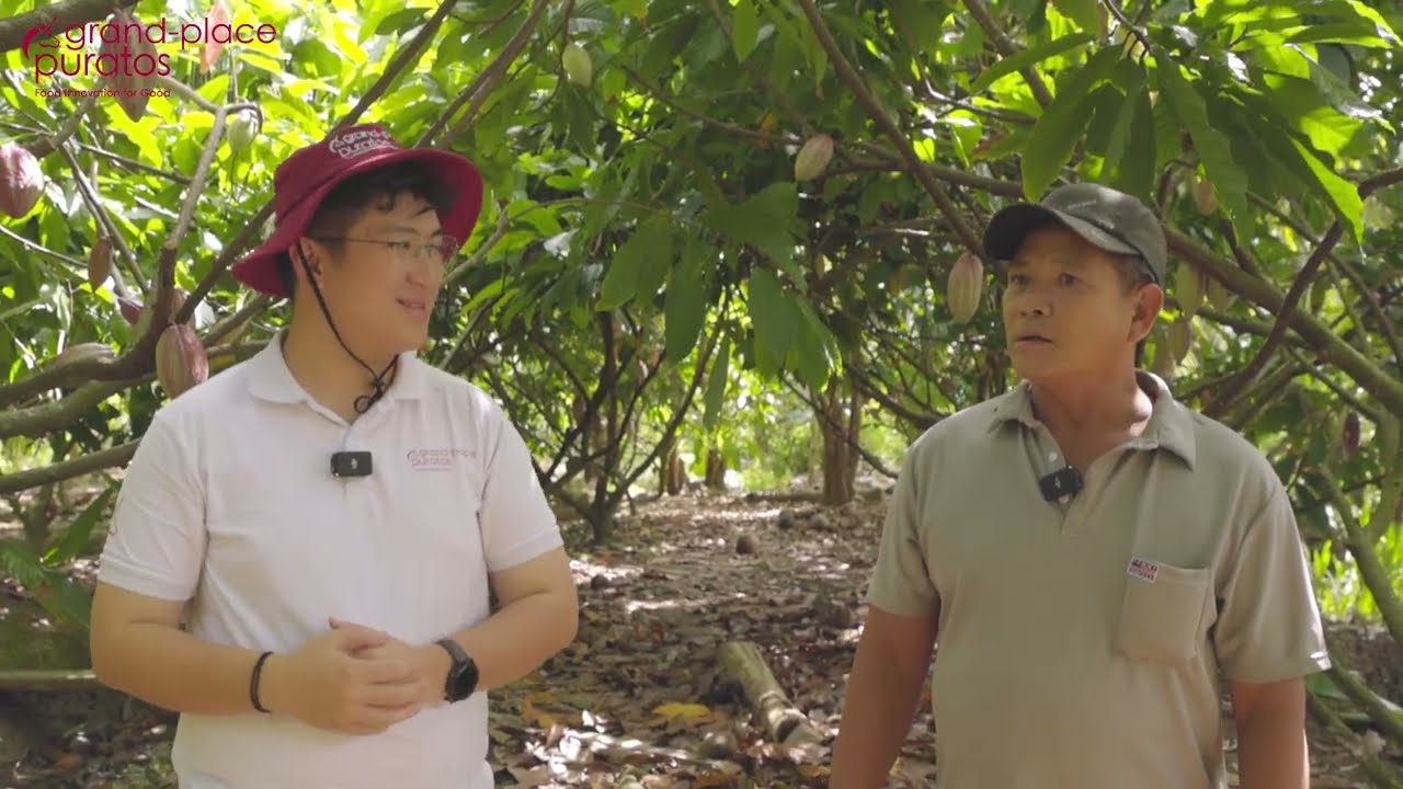 [Cacao bền vững] - Tập 7: Cacao sẽ phát triển mạnh nếu cùng nhau chung tay hỗ trợ