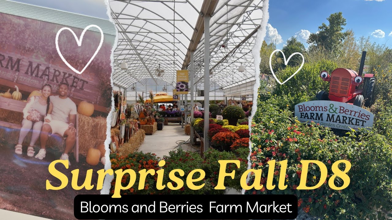 He Took Me On A Surprise Fall Date 🧡🍂| Blooms and Berries Farm Market