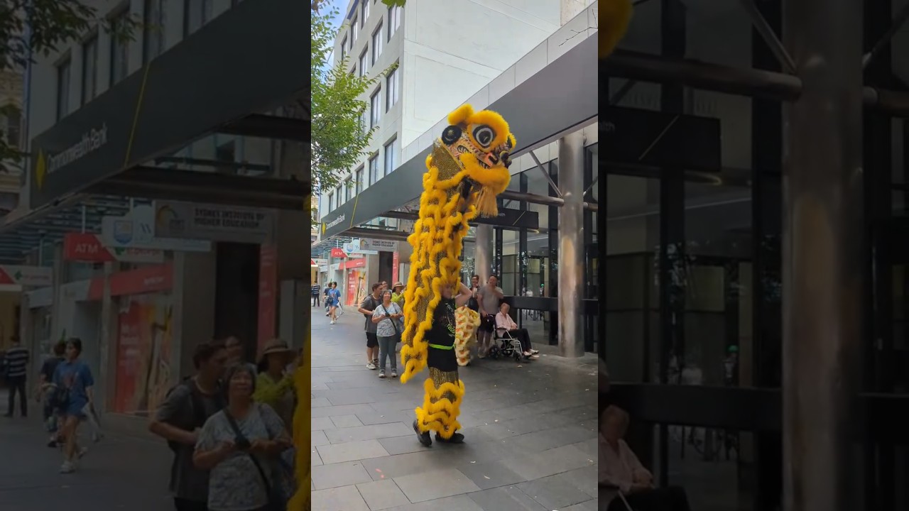 Attacked by a Dragon. #shorts #chinesenewyear #sydney