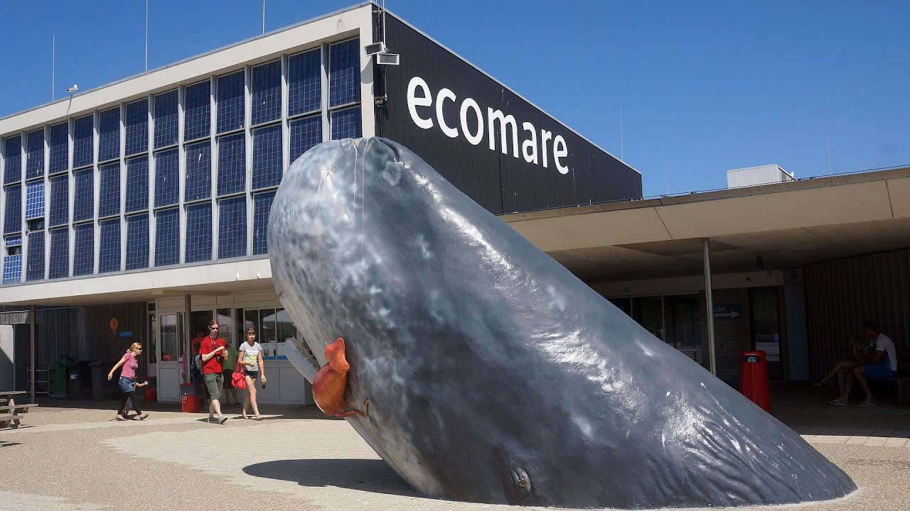 Ecomare Texel 2020