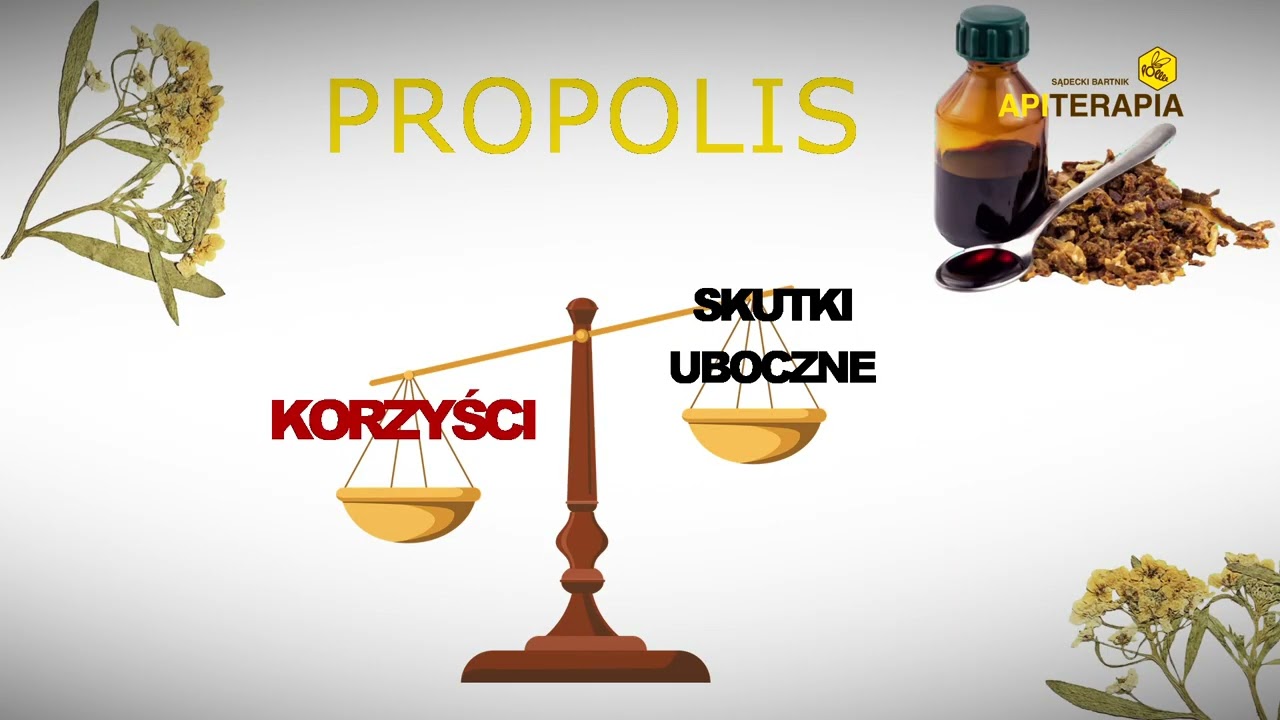 prof. dr hab. n. med. Marek Gogacz, Propolis - co nowego?