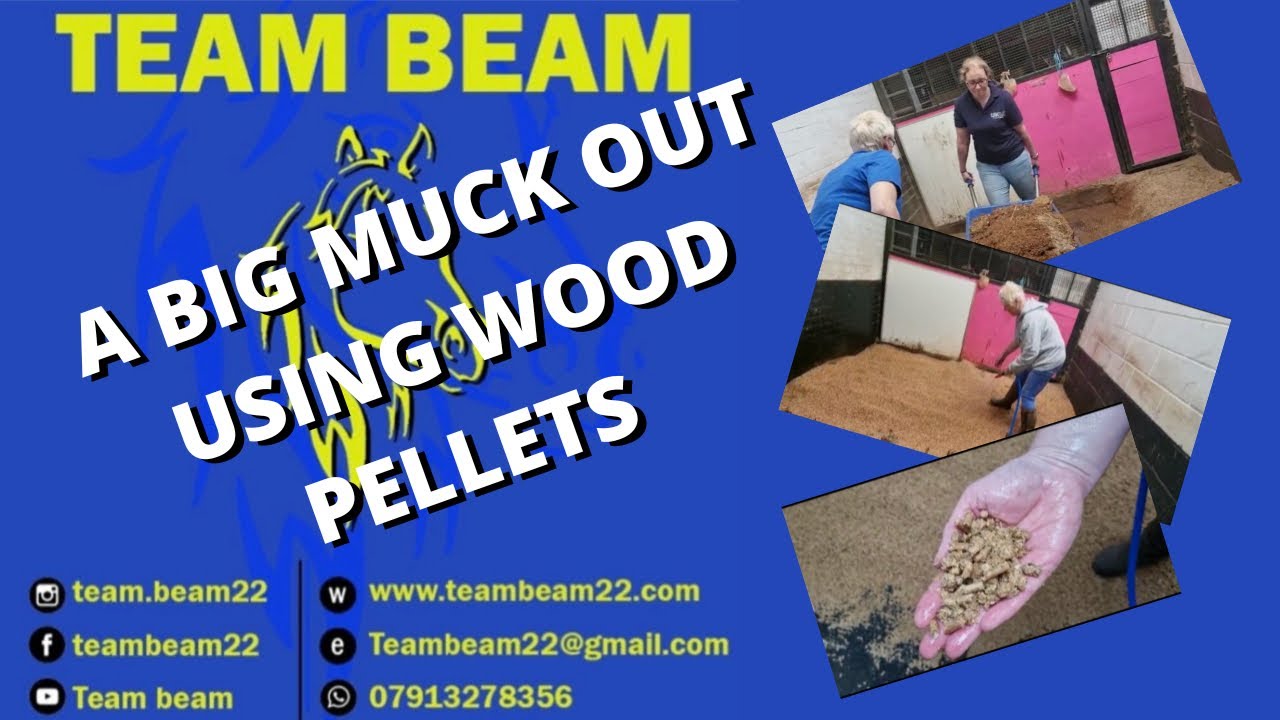 The Big Muck Out /HOW TO USE WOOD PELLETS