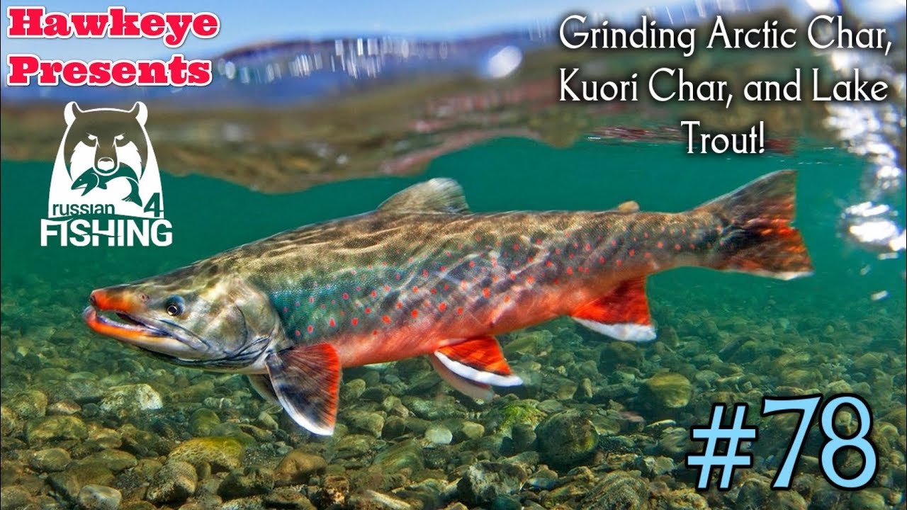 Russian Fishing 4 | #78 | Grinding Arctic Char, Kuori Char, and Lake Trout!
