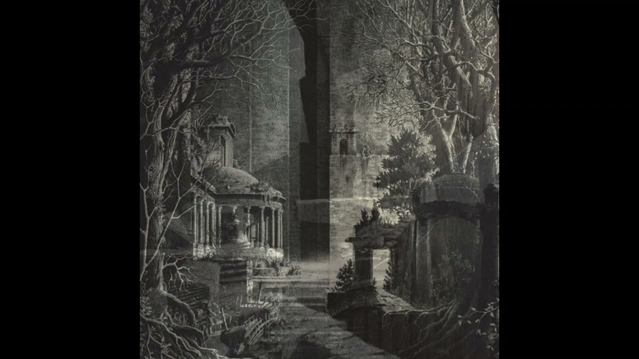 Niedergang - Effluvium (Compilation 2022)
