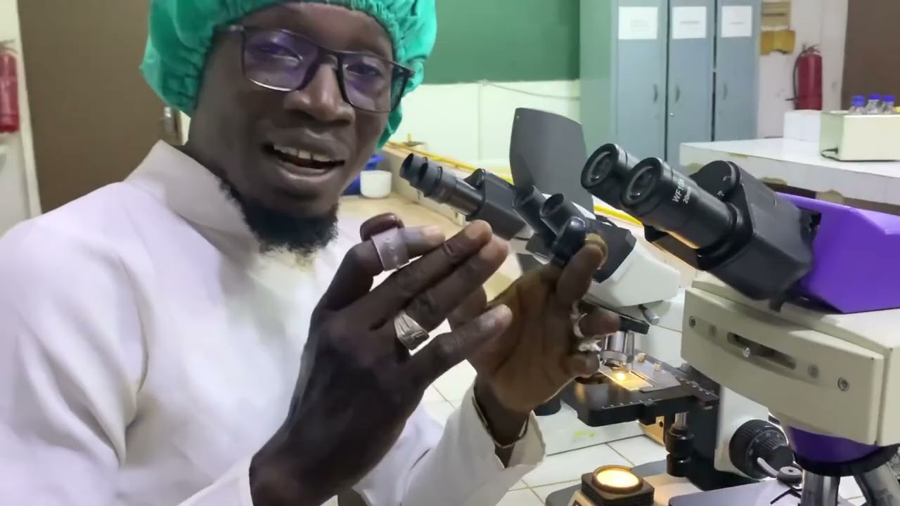 Explications , comment reconnaître et compter les plasmodium lors de la goutte épaisse #new #foryou