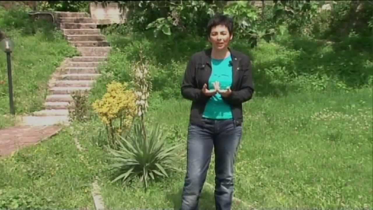 Presentazione Nuovi Orizzonti 2011 (Official)