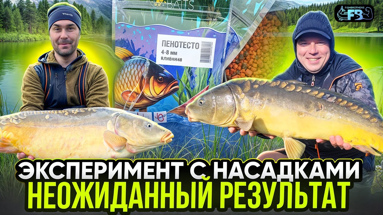 Лучшая насадка на крупного карпа.