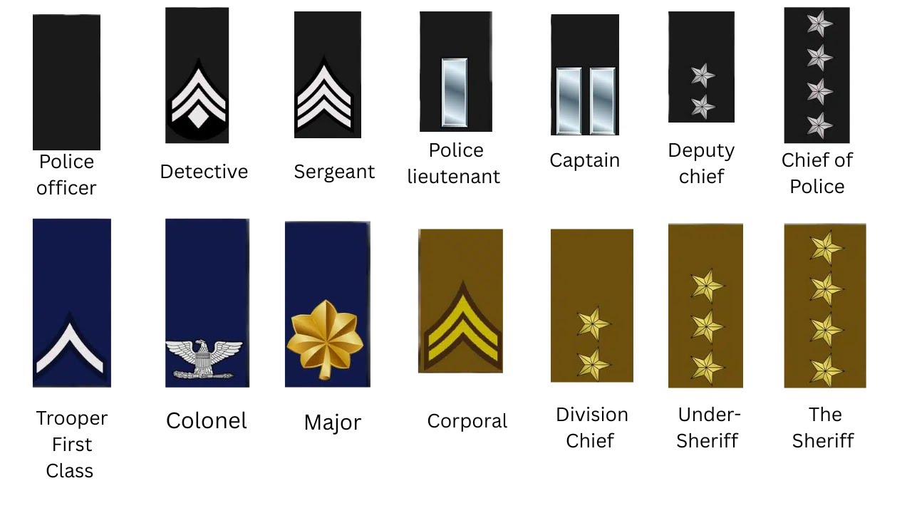 Every US Police Ranks in Metropolitan,state & Sheriff&rsquo;s departments