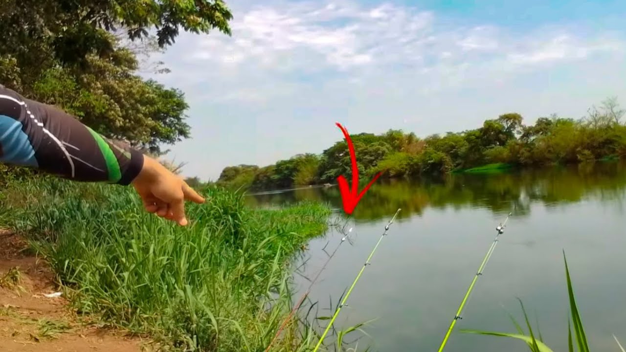 PESCA DE BARRANCO NO RIO PARDO