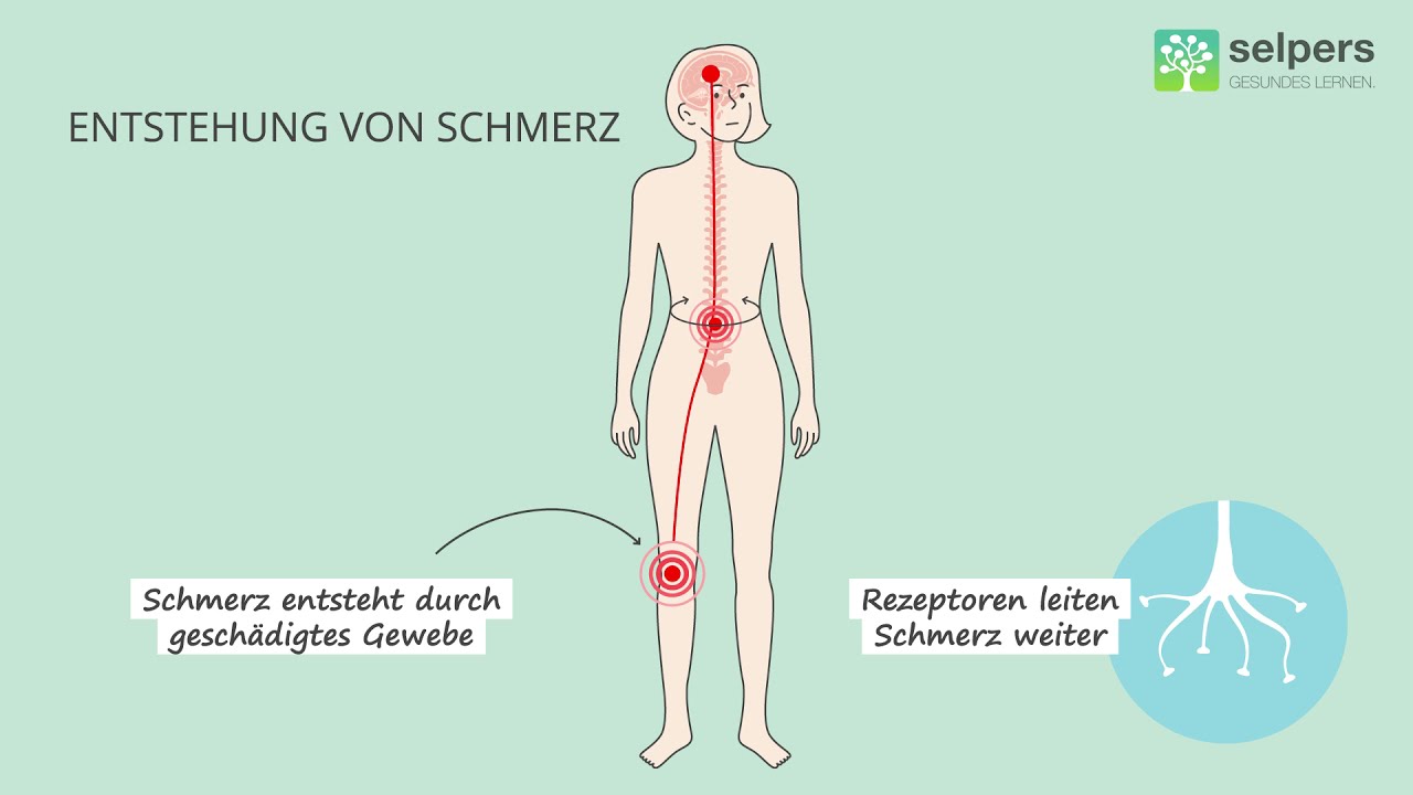Wie Schmerzen entstehen (Facharzt erklärt)