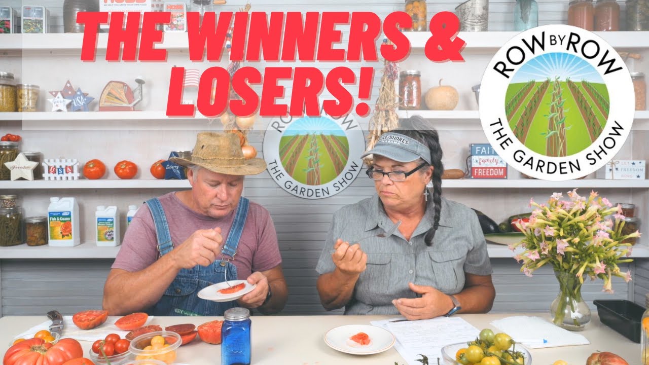 TOMATO TASTING REVIEW 2023